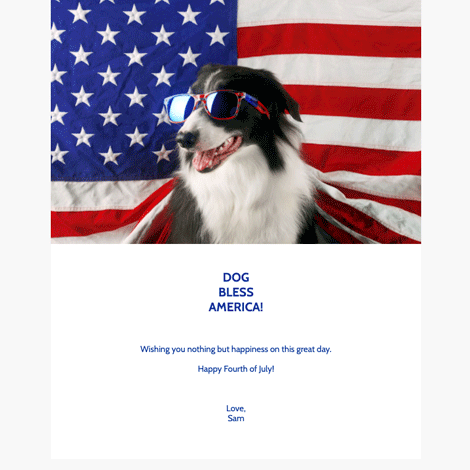 4th of July Dog 2